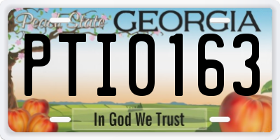 GA license plate PTI0163
