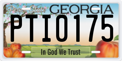 GA license plate PTI0175