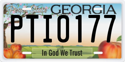 GA license plate PTI0177
