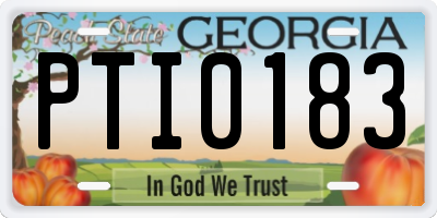 GA license plate PTI0183