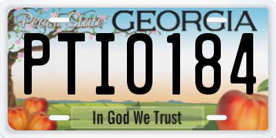 GA license plate PTI0184