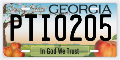 GA license plate PTI0205