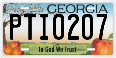 GA license plate PTI0207