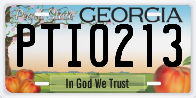 GA license plate PTI0213