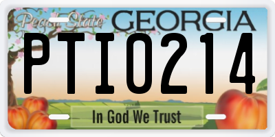 GA license plate PTI0214