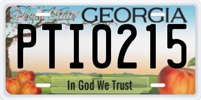 GA license plate PTI0215
