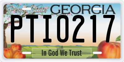 GA license plate PTI0217