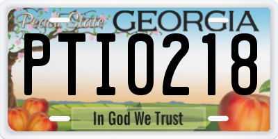 GA license plate PTI0218