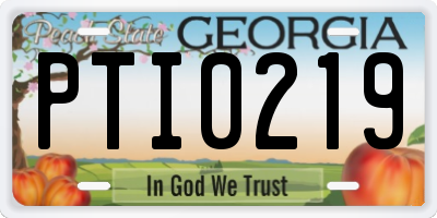 GA license plate PTI0219