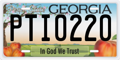 GA license plate PTI0220