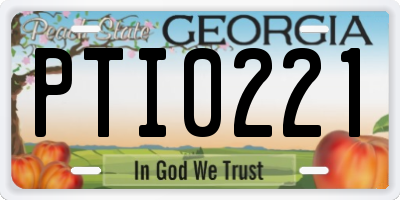 GA license plate PTI0221