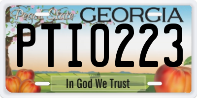 GA license plate PTI0223