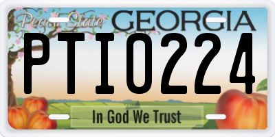 GA license plate PTI0224