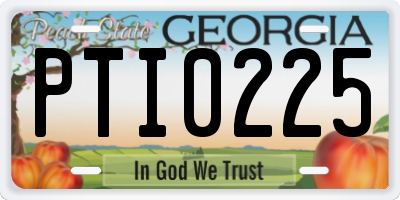 GA license plate PTI0225