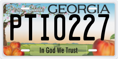 GA license plate PTI0227