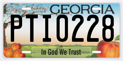 GA license plate PTI0228