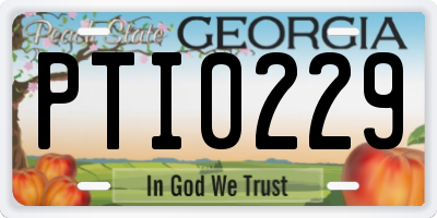 GA license plate PTI0229
