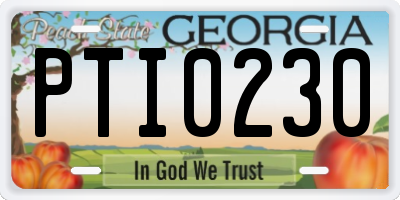 GA license plate PTI0230