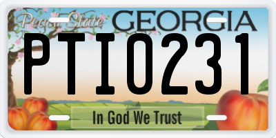 GA license plate PTI0231