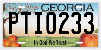 GA license plate PTI0233