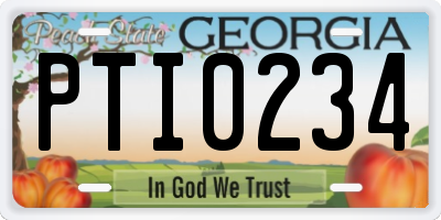 GA license plate PTI0234