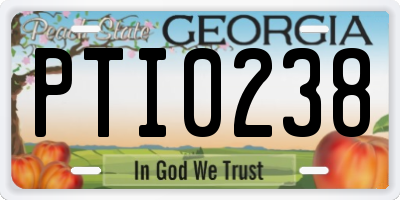 GA license plate PTI0238