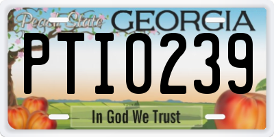 GA license plate PTI0239