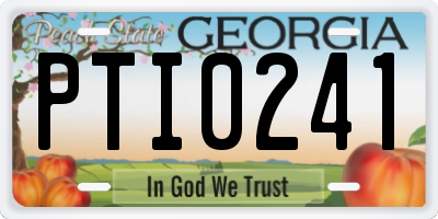GA license plate PTI0241