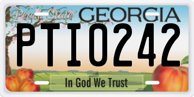 GA license plate PTI0242