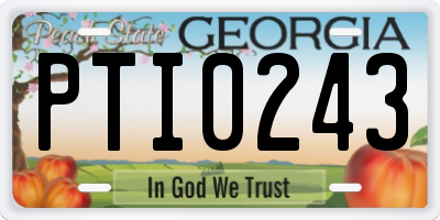 GA license plate PTI0243