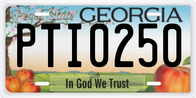 GA license plate PTI0250