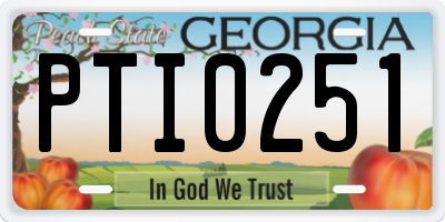 GA license plate PTI0251
