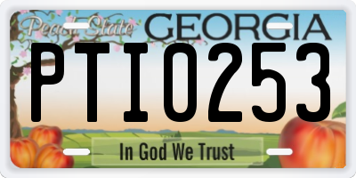 GA license plate PTI0253
