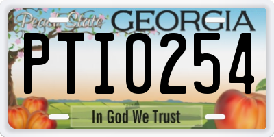 GA license plate PTI0254