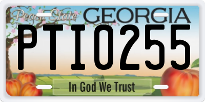 GA license plate PTI0255