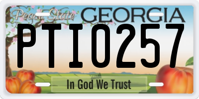 GA license plate PTI0257