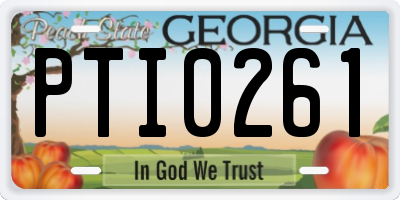 GA license plate PTI0261