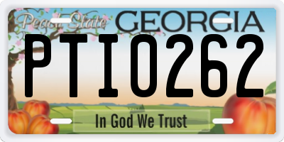 GA license plate PTI0262