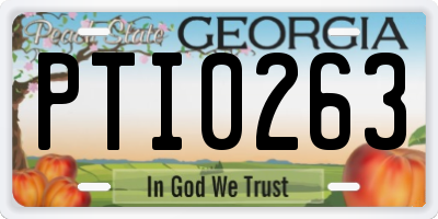 GA license plate PTI0263