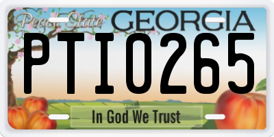 GA license plate PTI0265