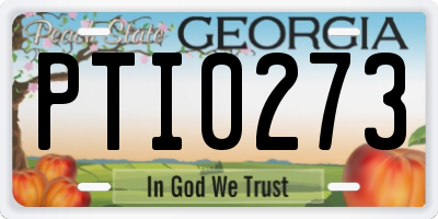 GA license plate PTI0273