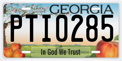 GA license plate PTI0285