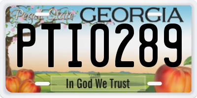 GA license plate PTI0289
