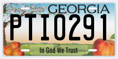 GA license plate PTI0291