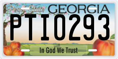 GA license plate PTI0293