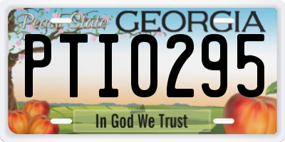 GA license plate PTI0295