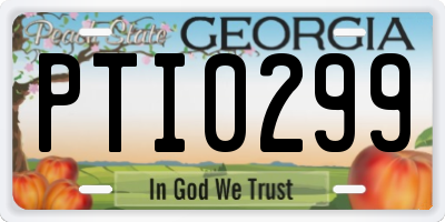 GA license plate PTI0299