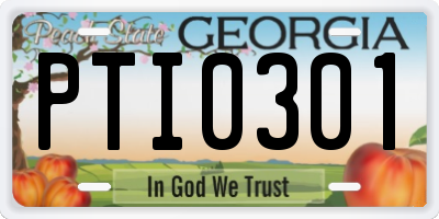 GA license plate PTI0301