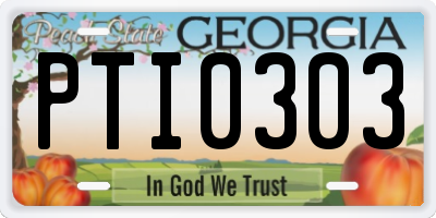 GA license plate PTI0303