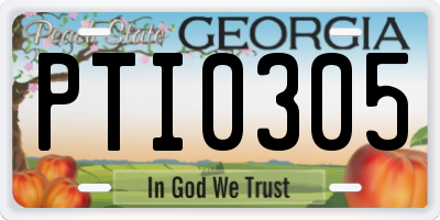 GA license plate PTI0305